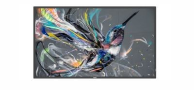Профессиональный дисплей Philips 65BDL3511Q/00