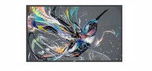 Профессиональный дисплей Philips 65BDL3511Q/00